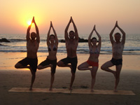 LivingUp Yogaferien Indien